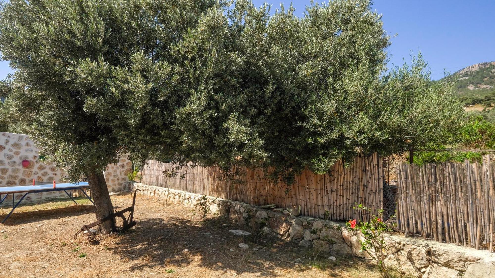 Likya House - Deniz Ve Doga Manzarali, Havuzlu Villa Patara Luaran gambar
